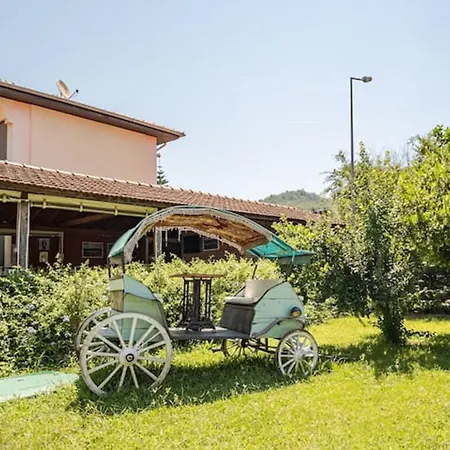 Vilă Only Blue Göcek